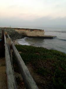 View during the run course